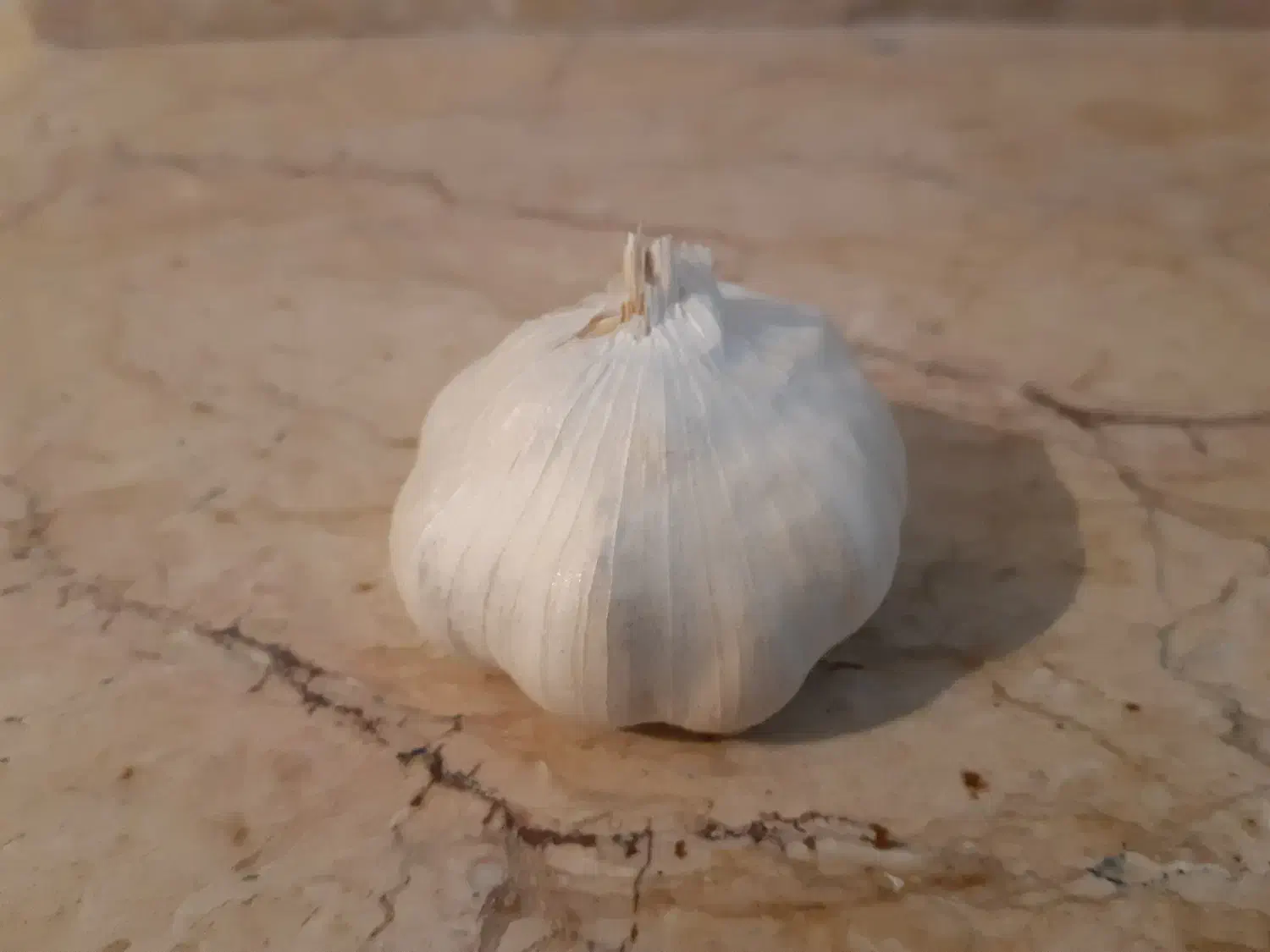 پخش سیر همدان|عمدهفروشی|تهران, کوی بیمه|دیوار