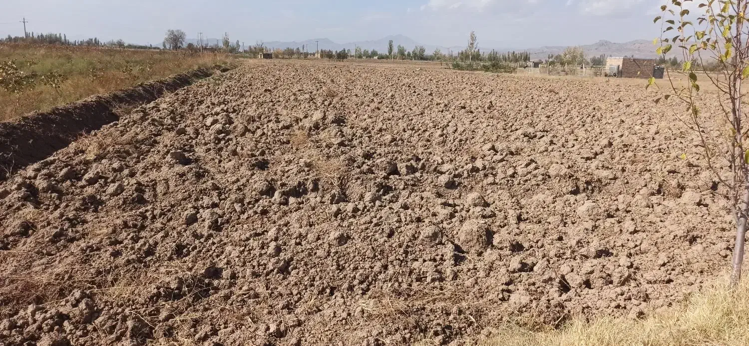 فروش زمین|فروش زمین و ملک کلنگی|یامچی, |دیوار