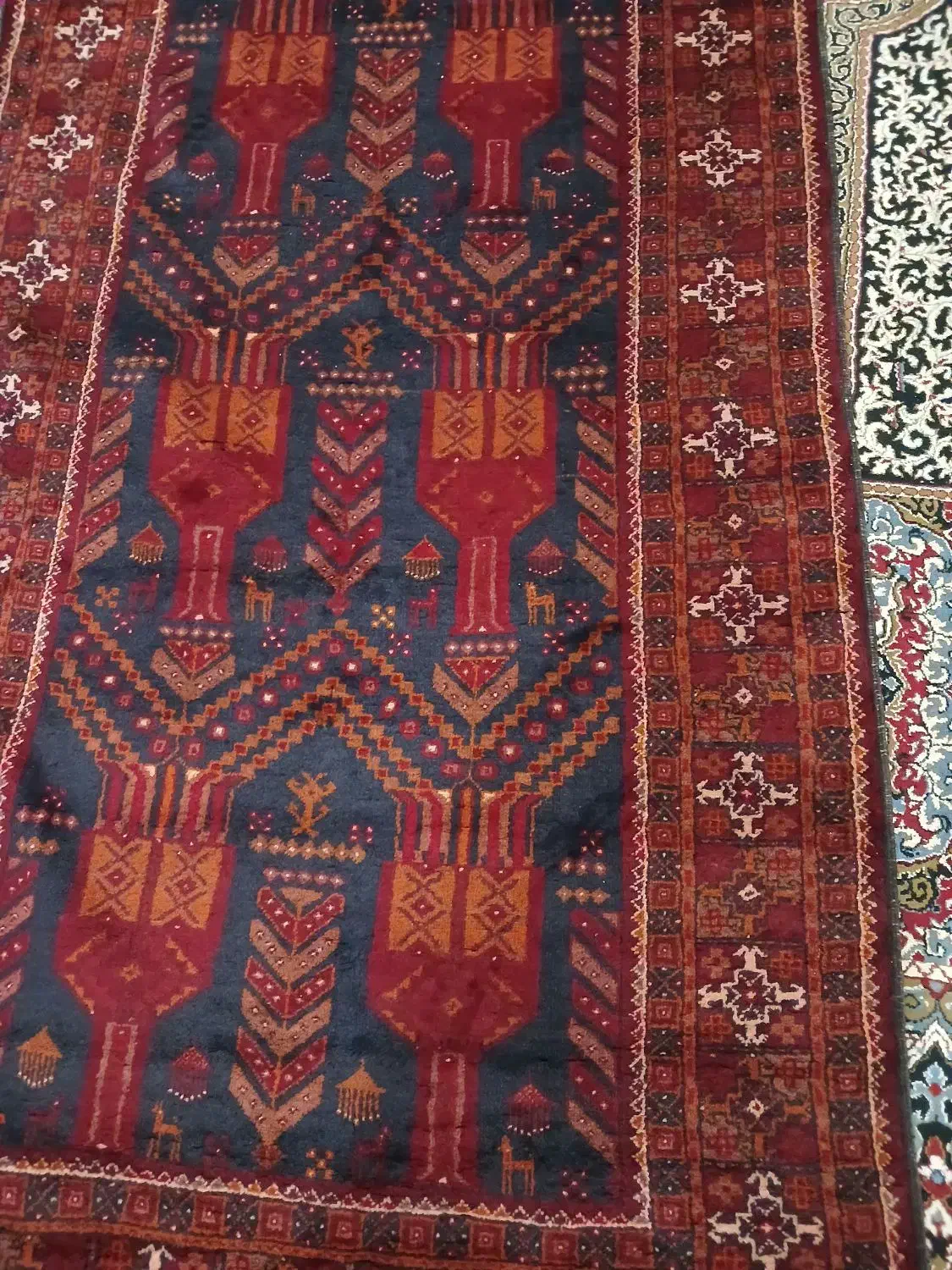 فرش دستبافت اعلائ|فرش|زابل, |دیوار