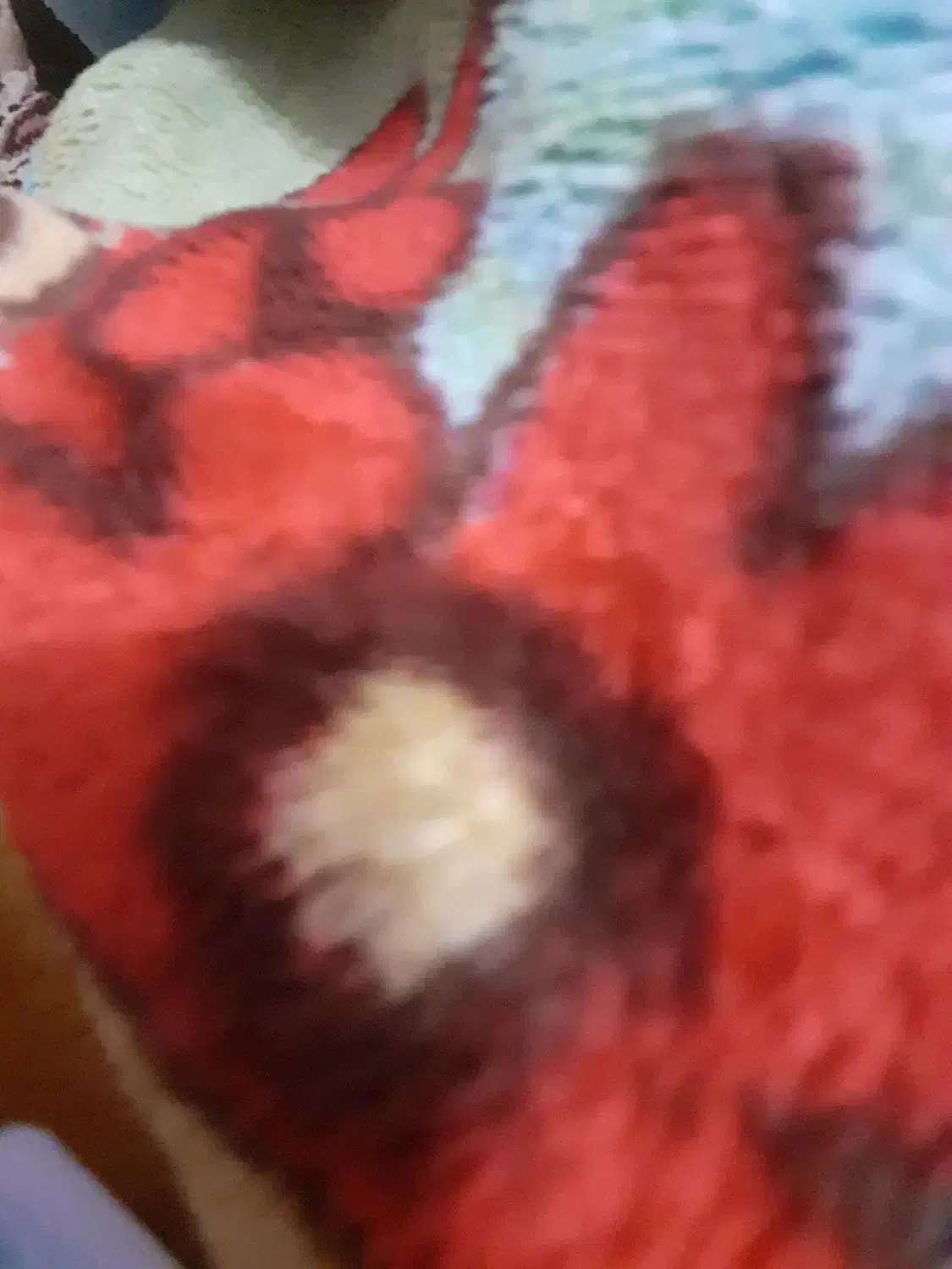 جاجیم پشمی|گلیم، جاجیم، گبه|دزفول, |دیوار