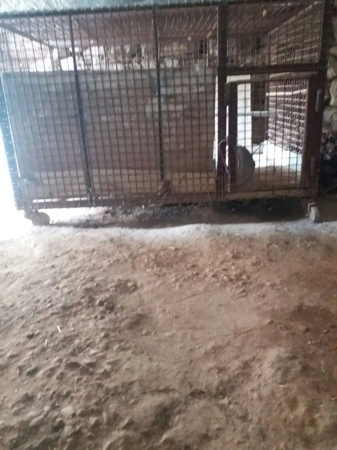 پله آهنی دوازده پله وفنس تمام آهن چرخ دار|مصالح و تجهیزات ساختمان|کارزان, |دیوار