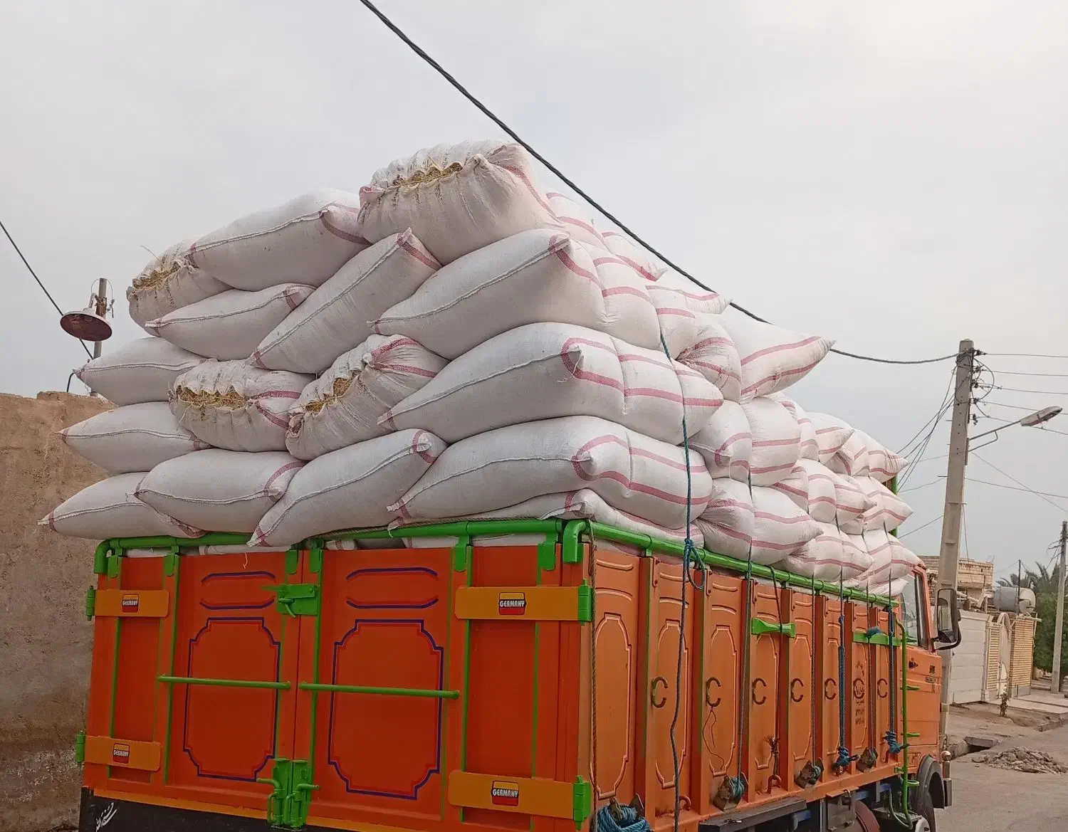 کاه|لوازم جانبی حیوانات|شوش, |دیوار