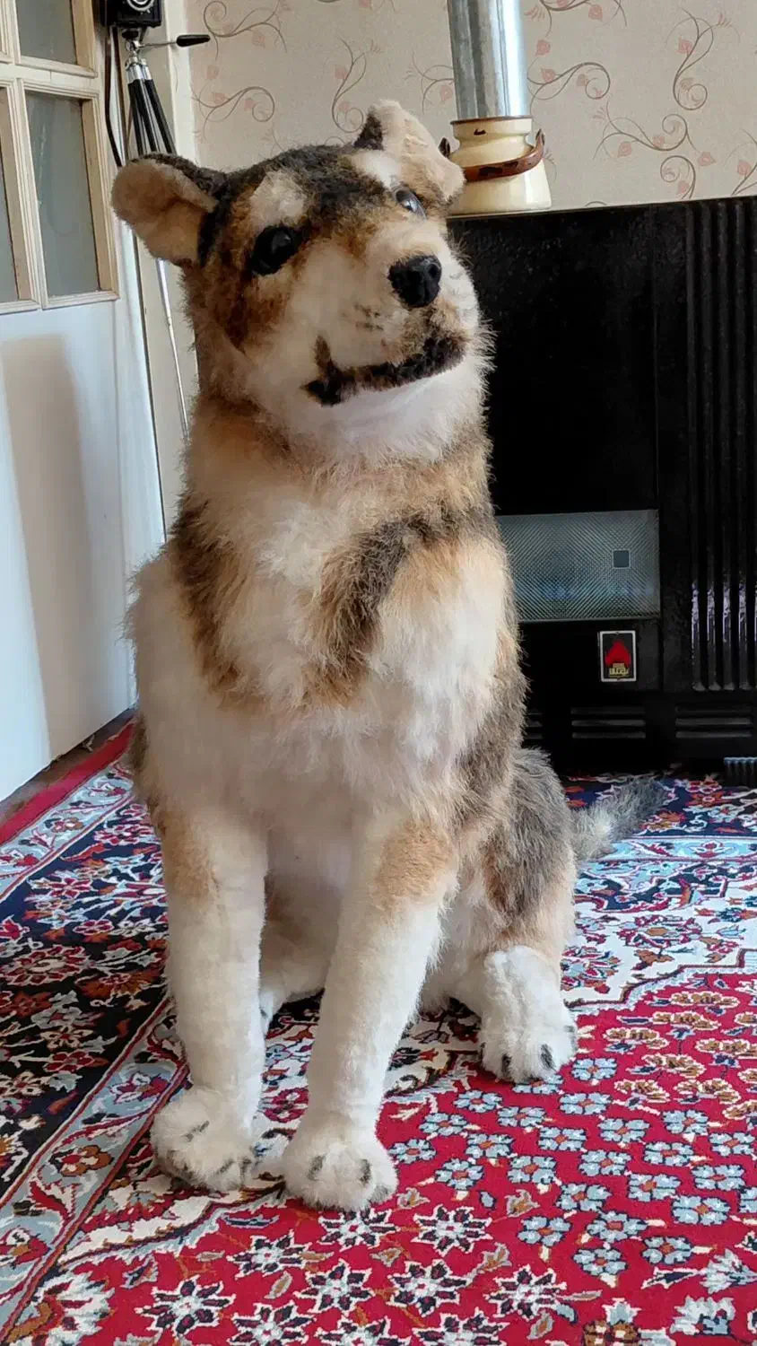 سگ عروسکی|مجسمه، تندیس، ماکت|زنجان, |دیوار