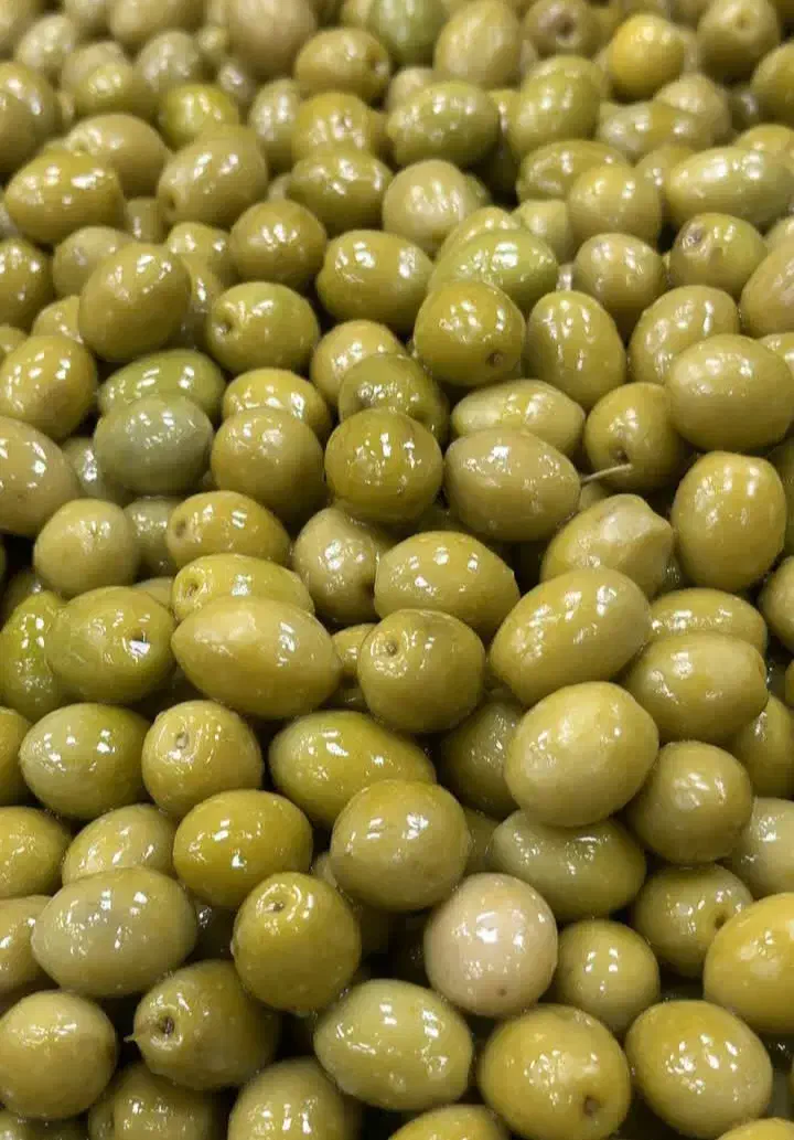 زیتون رودبار|خوردنی و آشامیدنی|محلات, |دیوار