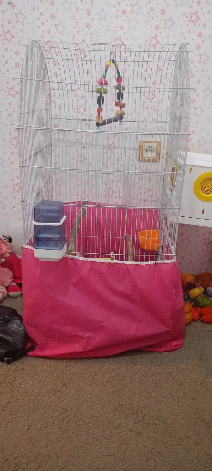 قفس بزرگ با تمام وسایل|لوازم جانبی حیوانات|سنندج, |دیوار