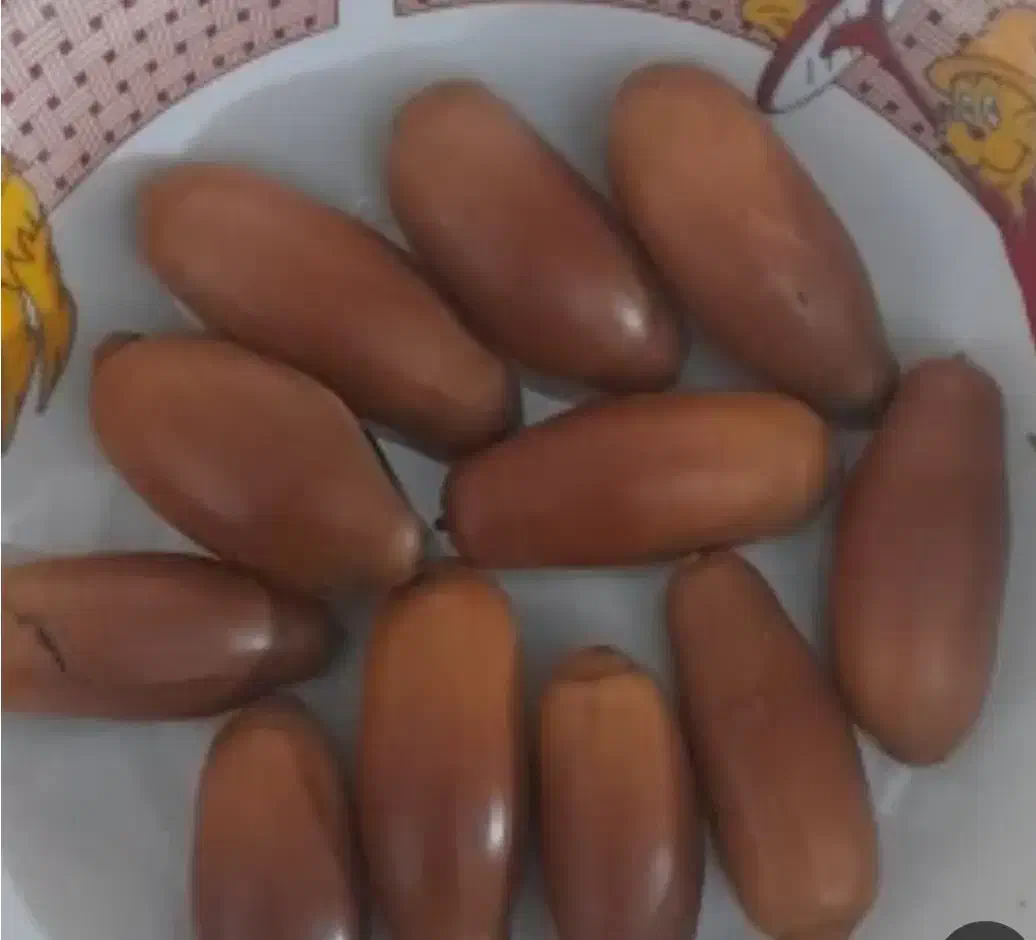 بلوط|خوردنی و آشامیدنی|کارزان, |دیوار