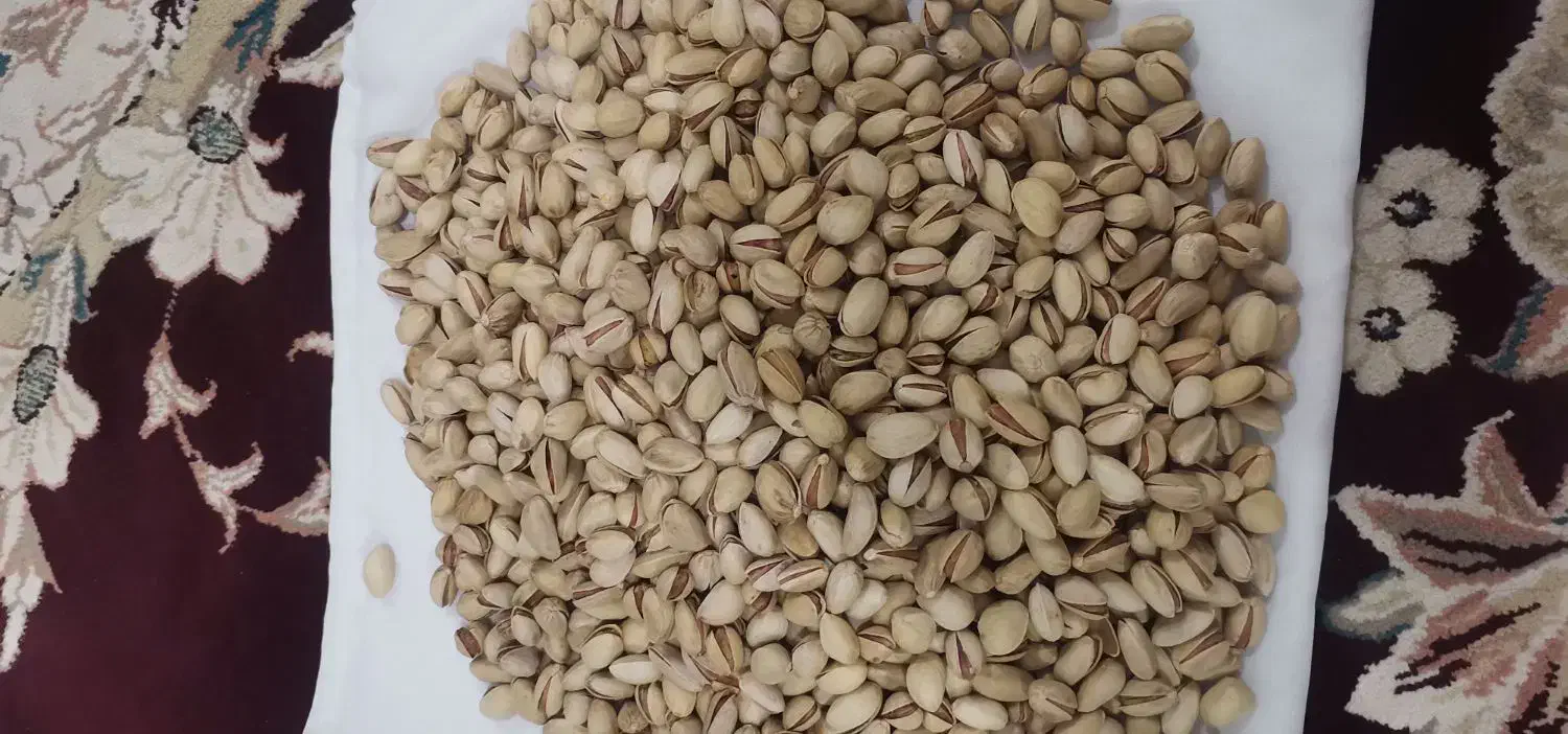 پسته فندوقی بادامی|عمده‌فروشی|مشهد, امام رضا (ع)|دیوار