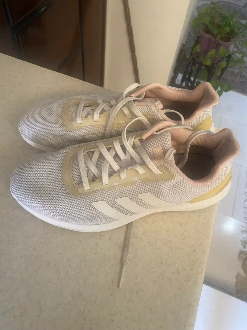 کتونی و کفش اورجینال برند|کیف، کفش، کمربند|کرج, گلشهر|دیوار