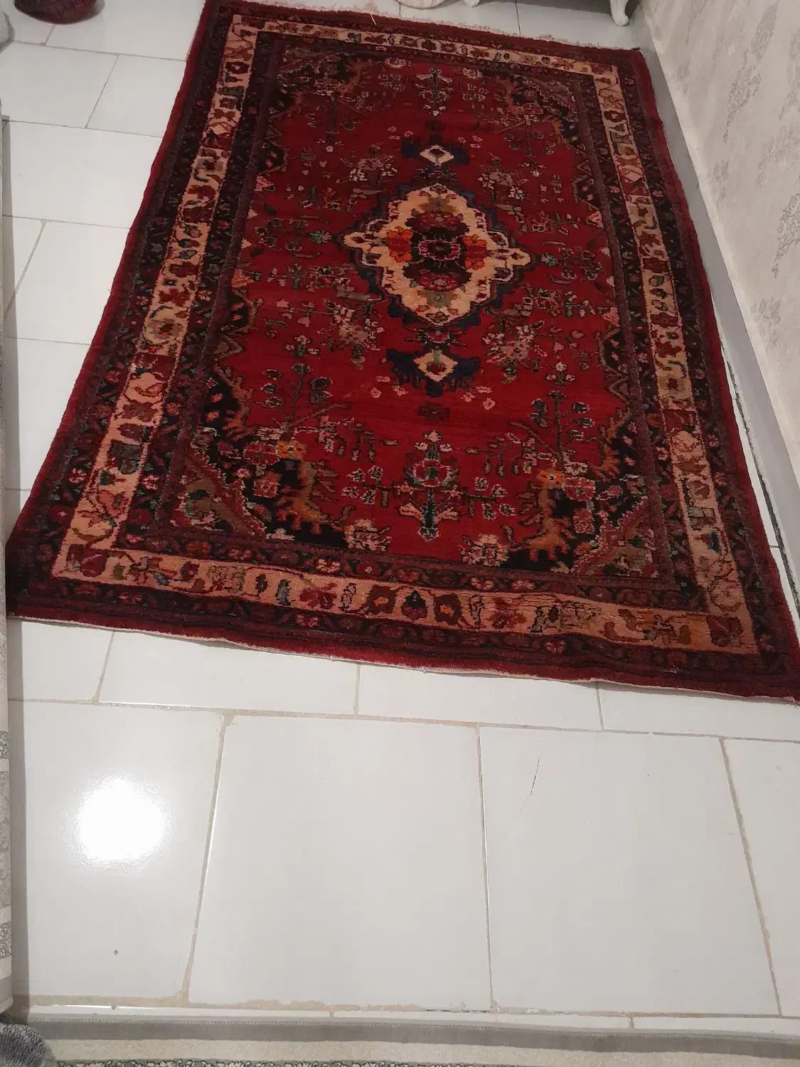 ۲عدد فرش دستبافت|فرش|کرج, حصارک بالا|دیوار