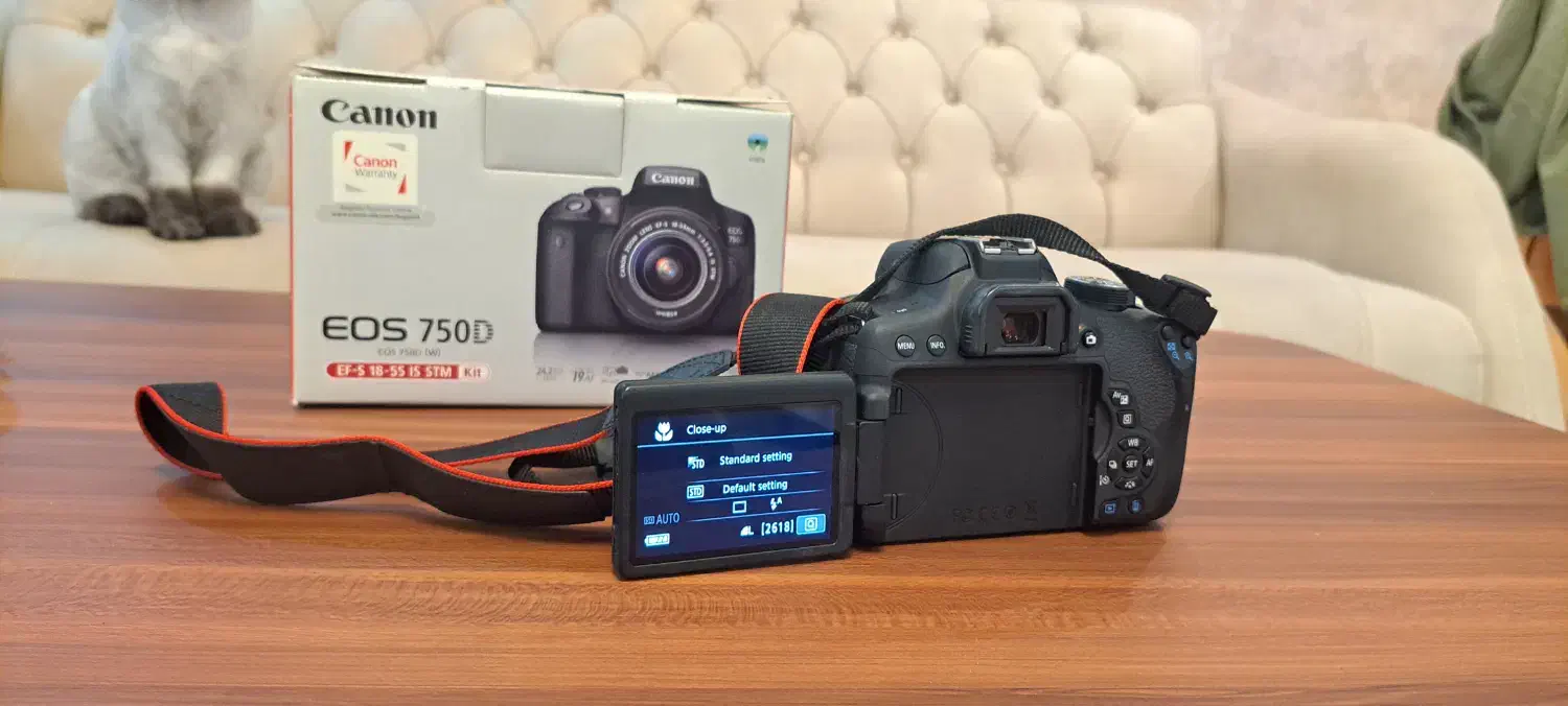 دوربین کانن Canon 750D+18-55mm|دوربین عکاسی و فیلمبرداری|رشت, چله خانه|دیوار