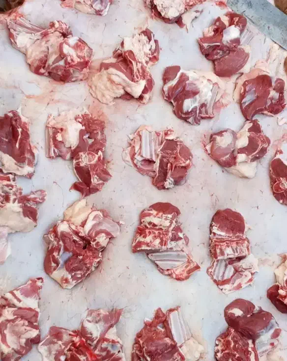 فروش گوسفند زنده تعاونی وتنظیم بازار عقیقه ونوزاد|حیوانات مزرعه|مشهد, کشاورز|دیوار