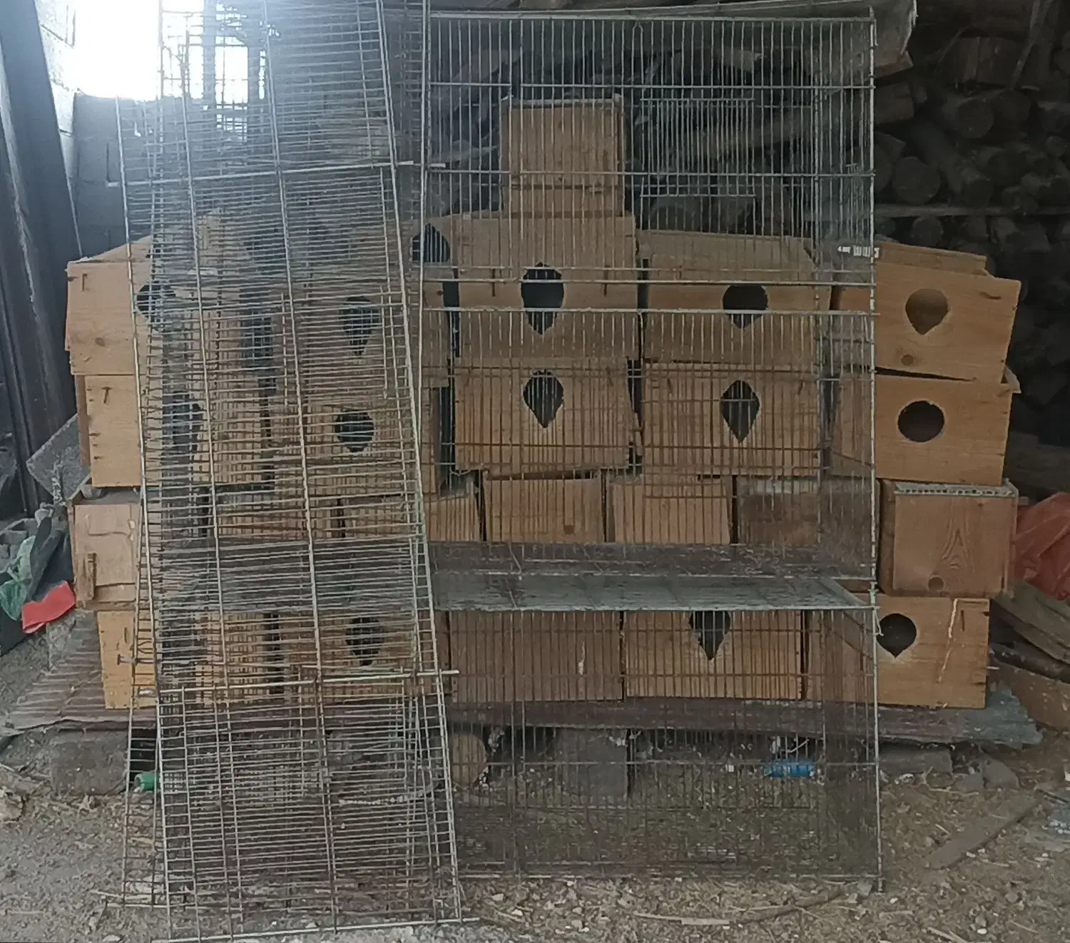 قفس پران ولانه عروس هلندی|لوازم جانبی حیوانات|رامسر, |دیوار