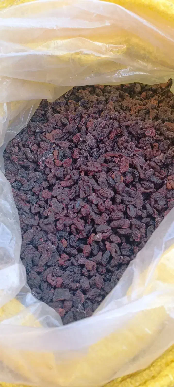 زغال اخته بدون هسته و اعلا|عمدهفروشی|مرند, |دیوار