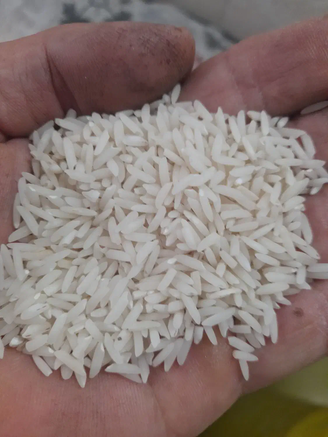 400کیلو برنج هاشمی|خوردنی و آشامیدنی|لنگرود, |دیوار