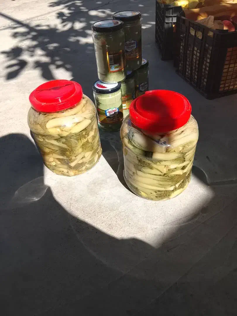 ترشی بیلهر|خوردنی و آشامیدنی|یاسوج, |دیوار