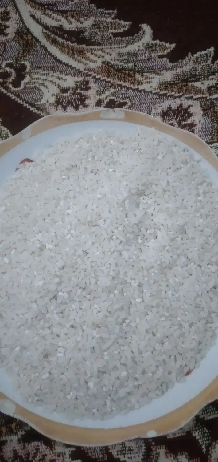 فروش نیم دانه هاشمی|خوردنی و آشامیدنی|تالش, هشتپر|دیوار