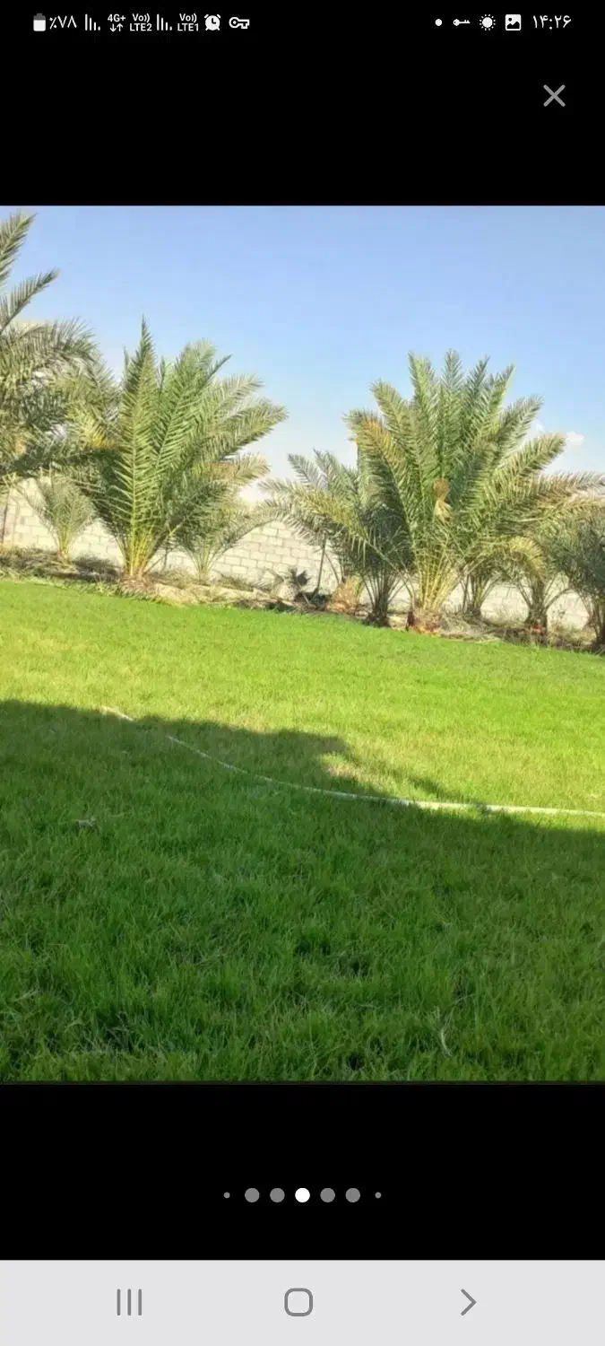 باعبانی وهرس کردن|خدمات باغبانی و درختکاری|اهواز, فاز ۲ پادادشهر|دیوار