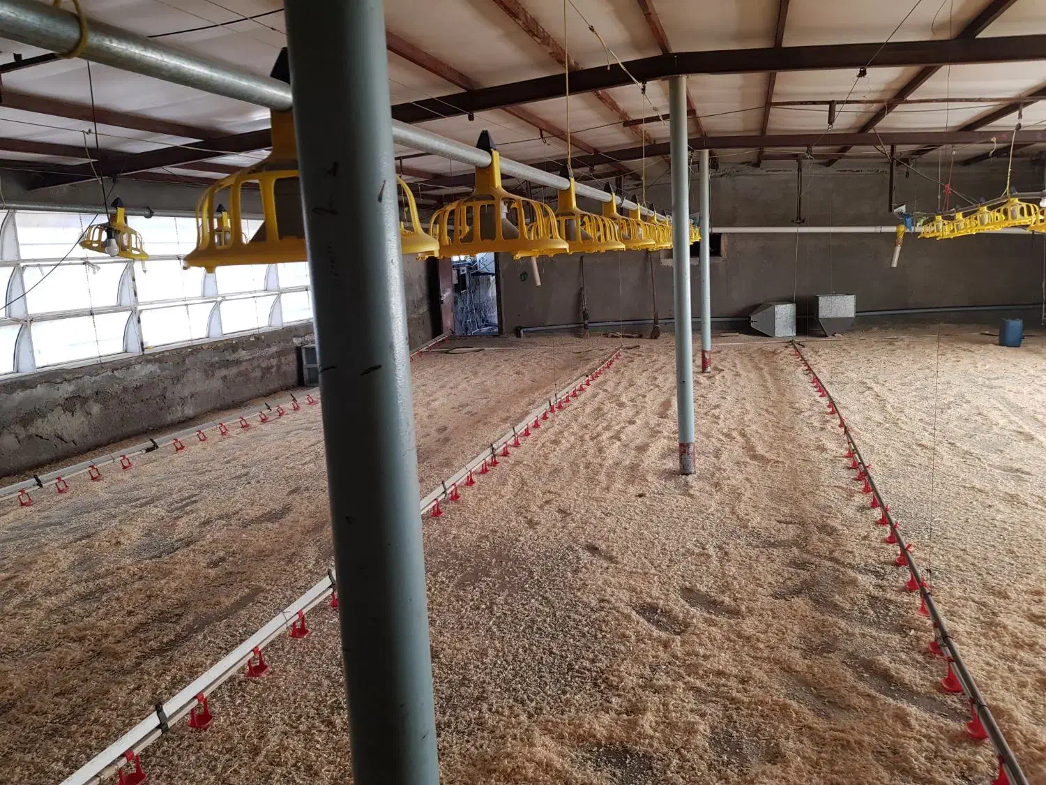 اجاره یک واحد مرغداری ۵۰،۰۰۰ قطعه ای|اجارهٔ دفتر صنعتی، کشاورزی، تجاری|کاشمر, |دیوار