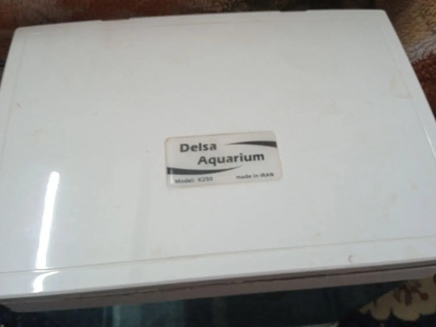 اکواریومدلسا|ماهی|شهرضا, |دیوار