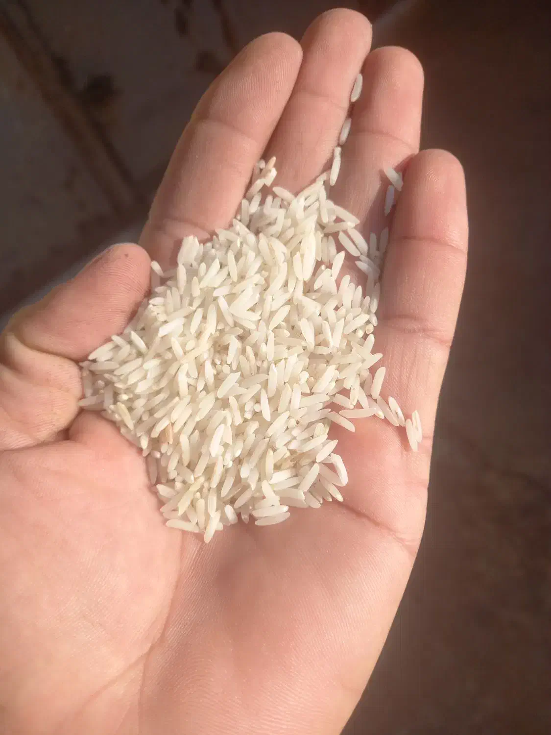 برنج دمسیاه|خوردنی و آشامیدنی|فاضل آباد, |دیوار