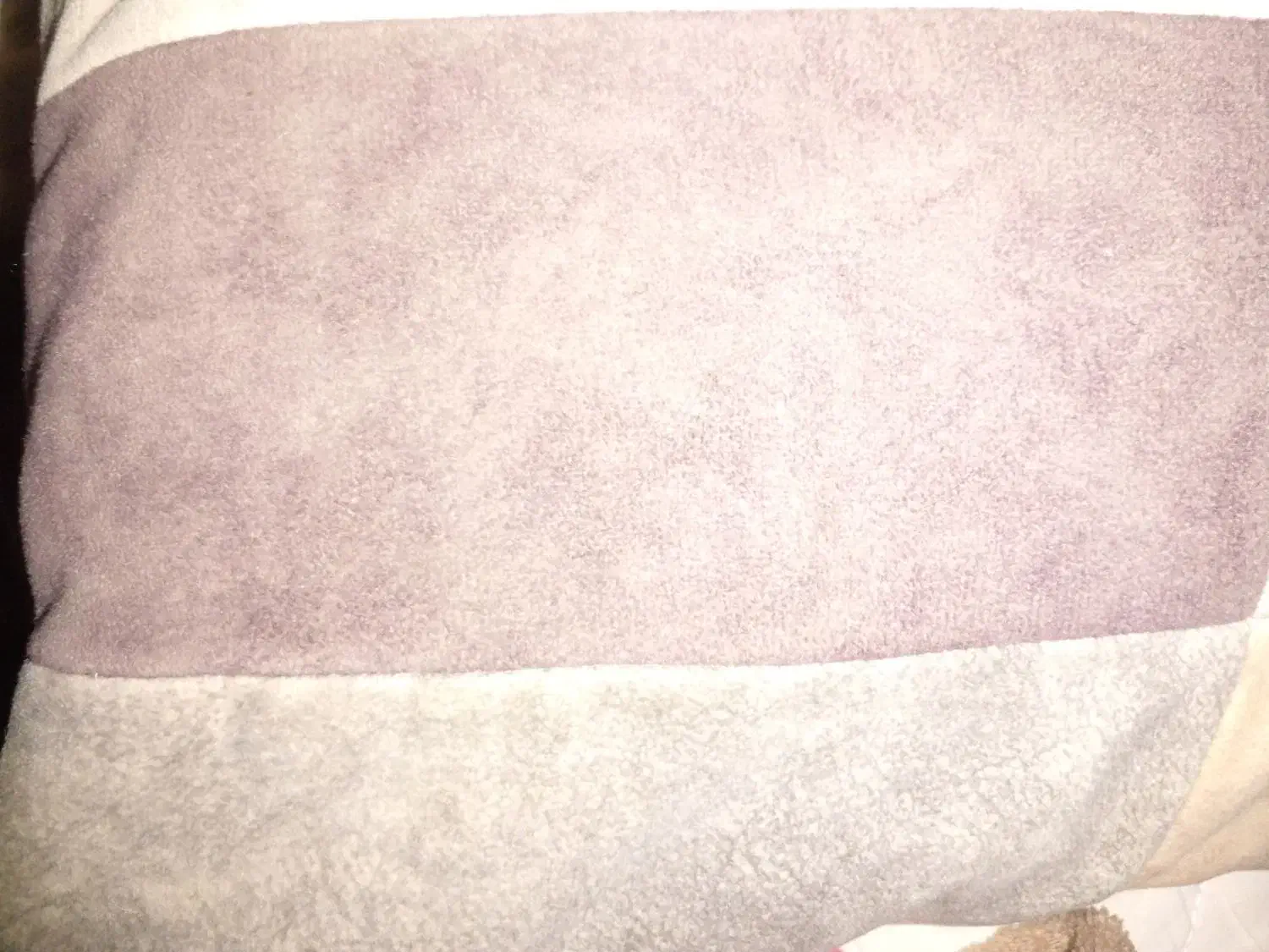 کیف با چندتا کتاب پایه ششم و قلم و دفتر گم شده|کیف، کفش، کمربند|دهدشت, |دیوار