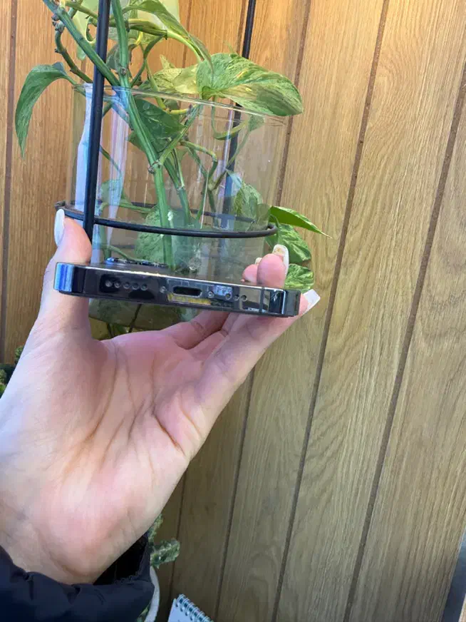 iphone 13pro|موبایل|تبریز, |دیوار