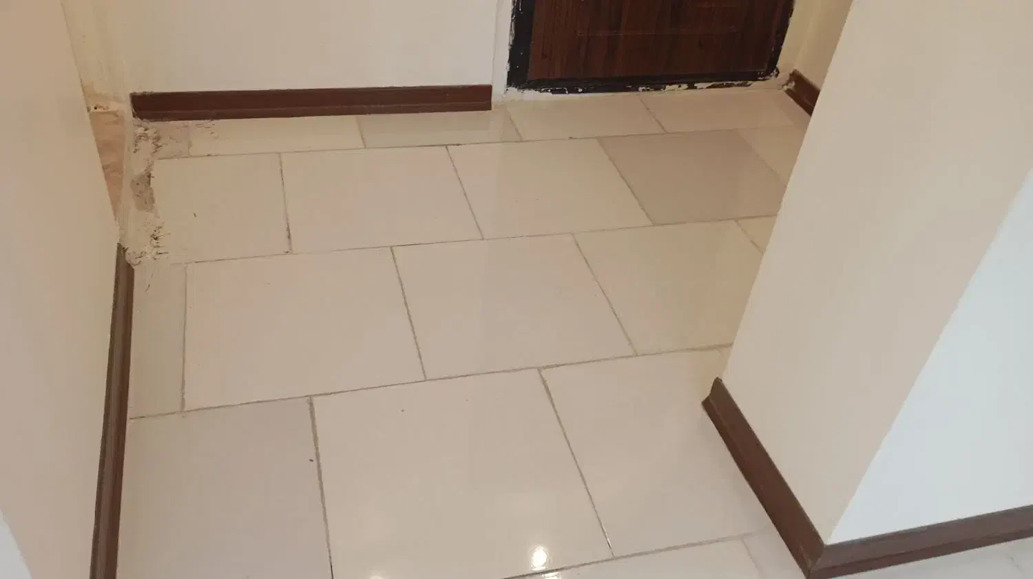 نظافت منزل مشاعات پارکینگ و...|خدمات نظافت|پردیس, فاز ۲|دیوار