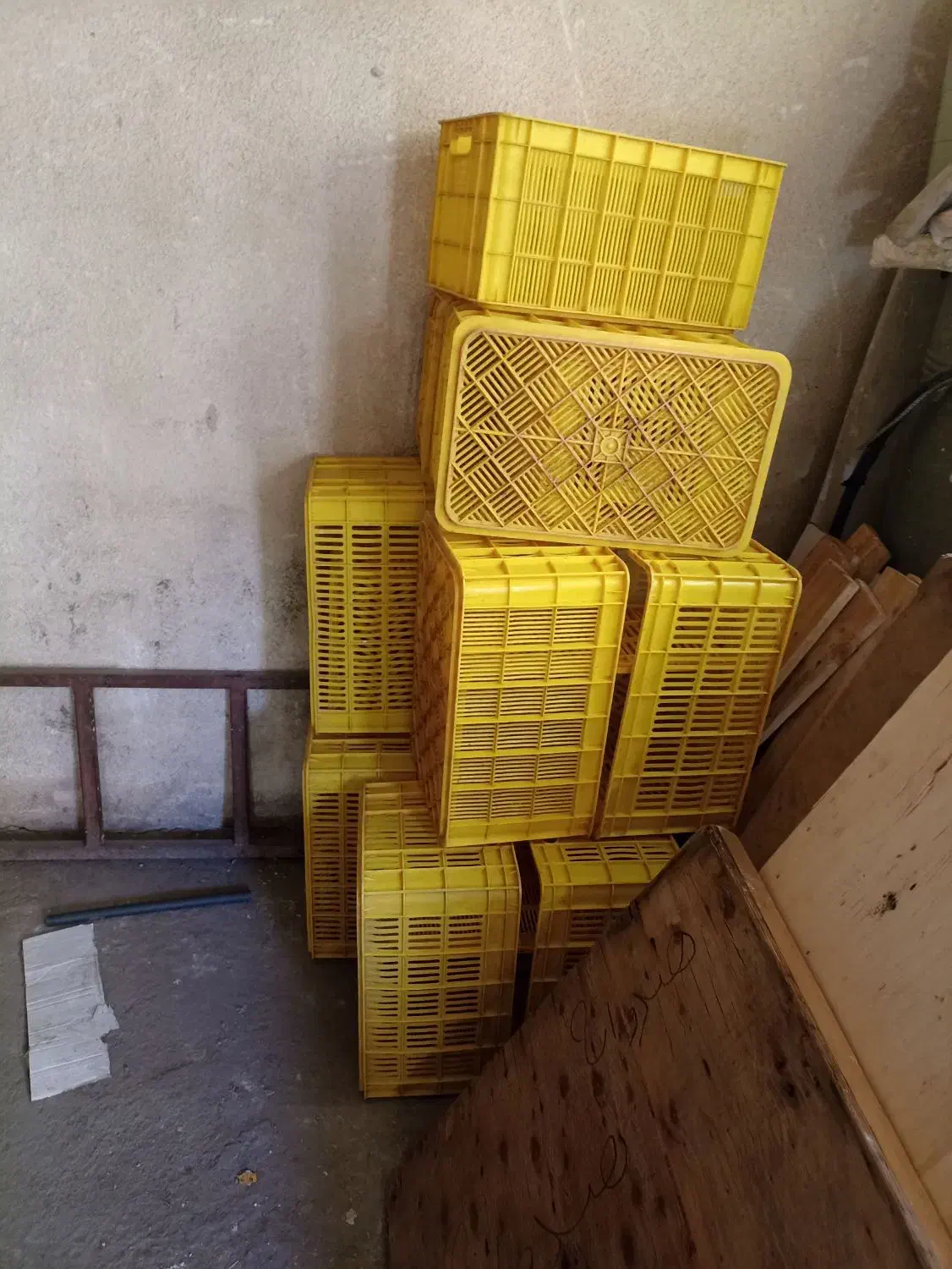 فروشی وسبد پلاستیکی ضخیم و لامپ 50 وات|ظروف نگهدارنده، پلاستیکی، یکبارمصرف|تبریز, |دیوار