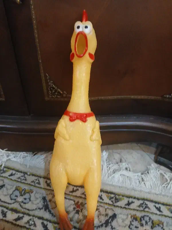 مرغ صدا دار|اسباب‌‌بازی|تهران, صادقیه|دیوار