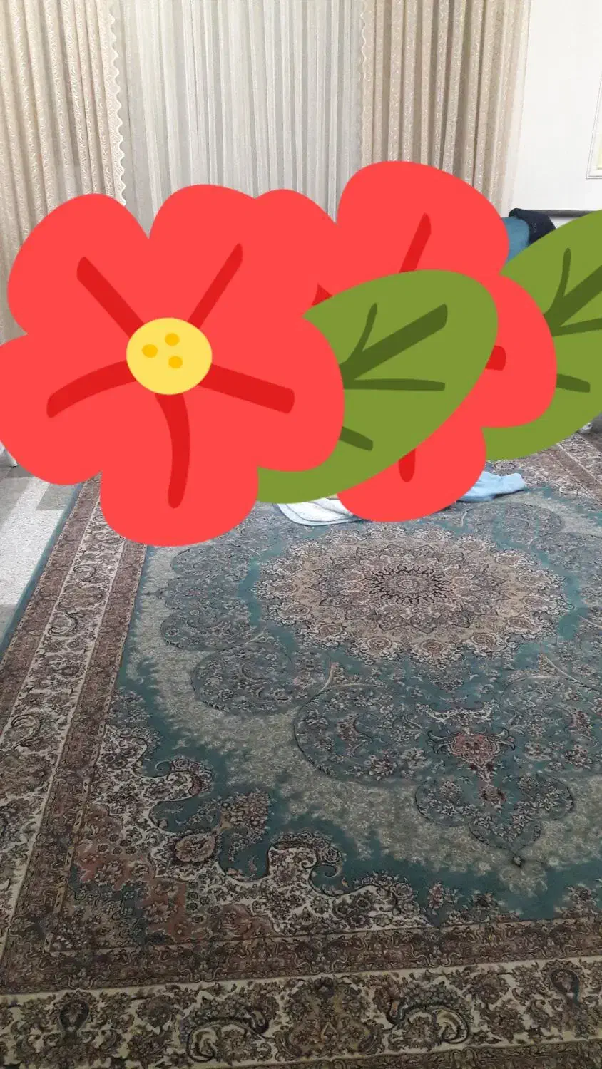 یک جفت فرش ۹ متری ۷۰۰ شانه در حد نو،تراکم ۲۲۵۰|فرش|هشتگرد, هیو|دیوار