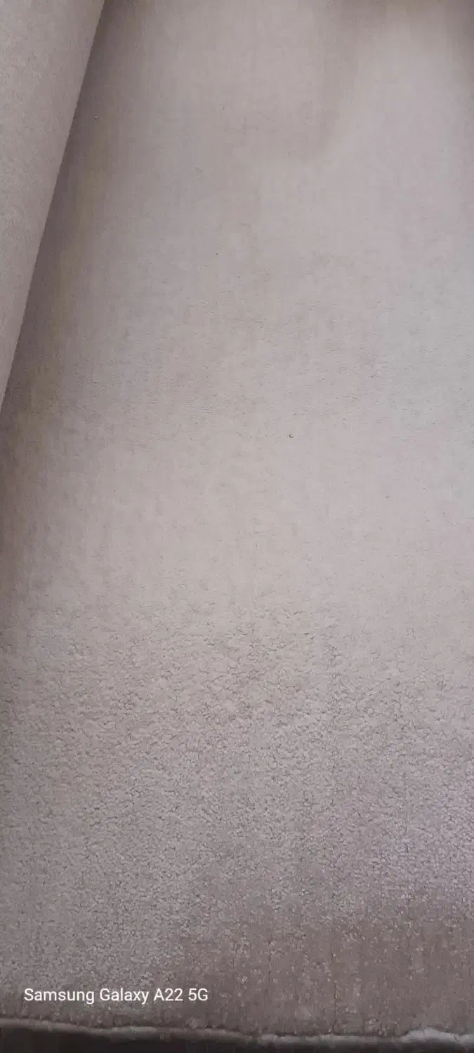 پالاز موکت|موکت|قم, علی آباد سعدگان|دیوار