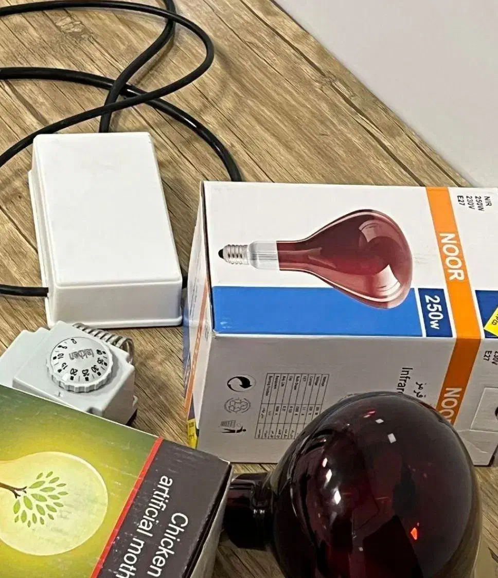 دستگاه جوجه کشی 12 تایی ماراوا|لوازم جانبی حیوانات|یزد, |دیوار