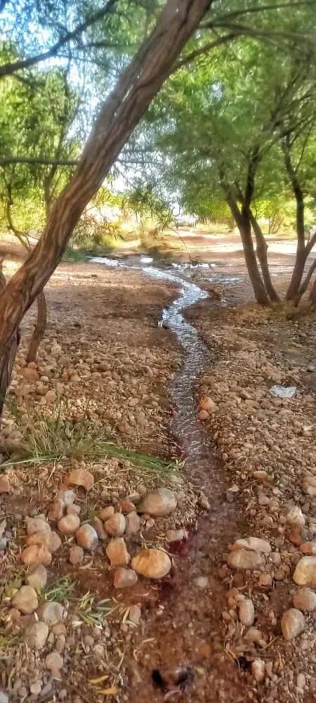 زمین تجاری|فروش مغازه و غرفه|کوهدشت, |دیوار