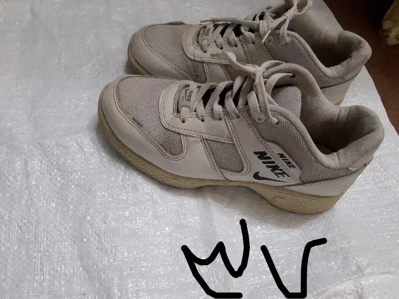 کفش|کیف، کفش، کمربند|قوچان, |دیوار