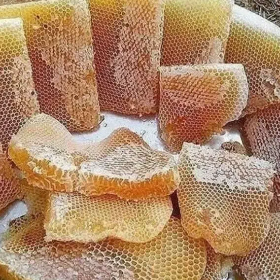 روغن و کشک گوسفندی و عسل طبیعی|خوردنی و آشامیدنی|لردگان, |دیوار