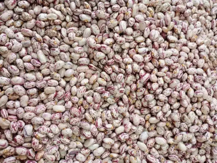 لوبیا چیتی|خوردنی و آشامیدنی|هیر, |دیوار