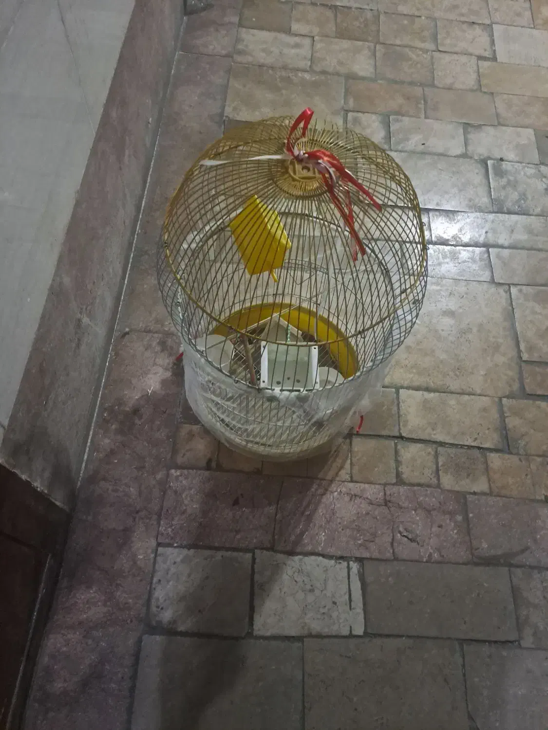 قفس پرنده|لوازم جانبی حیوانات|تهران, سازمان برنامه جنوبی|دیوار