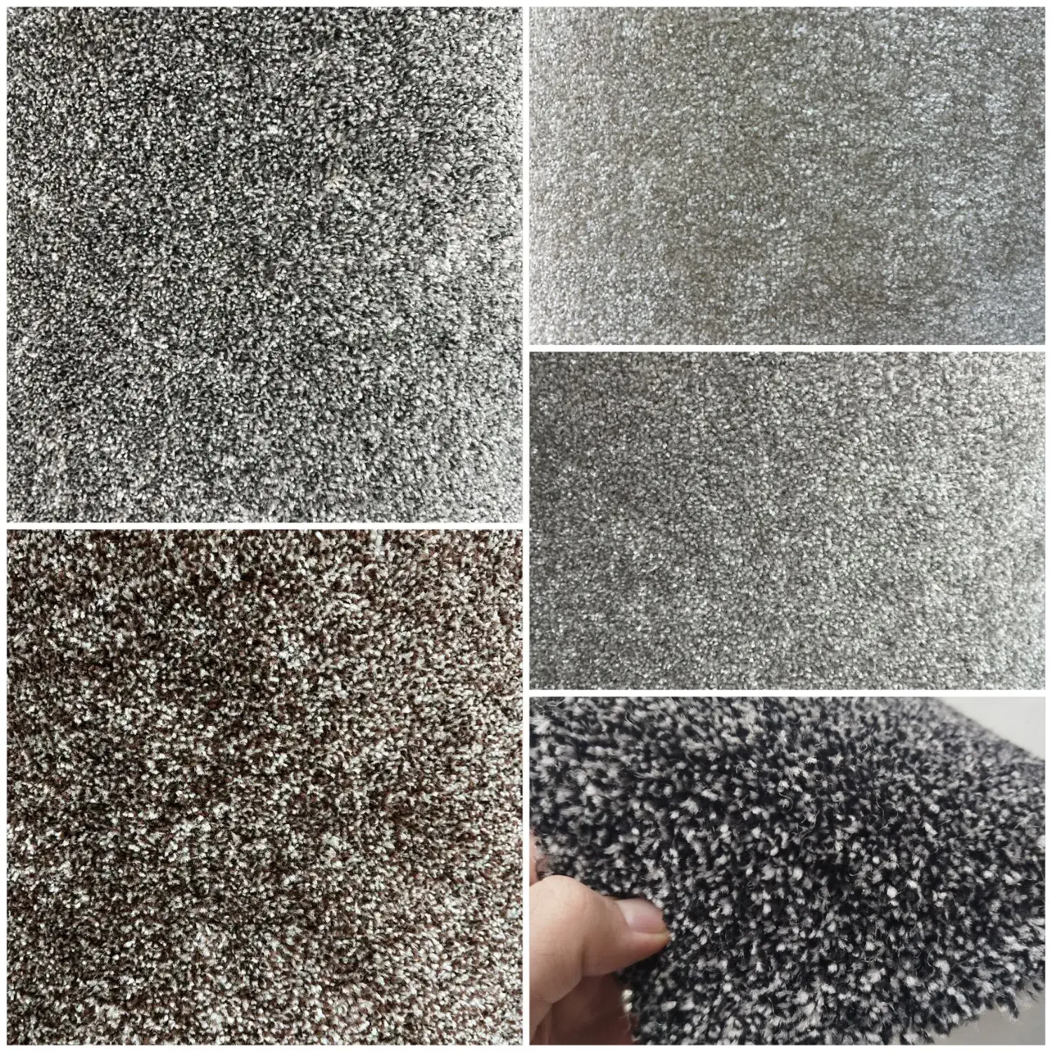 موکت پرزبلند|موکت|دزفول, |دیوار