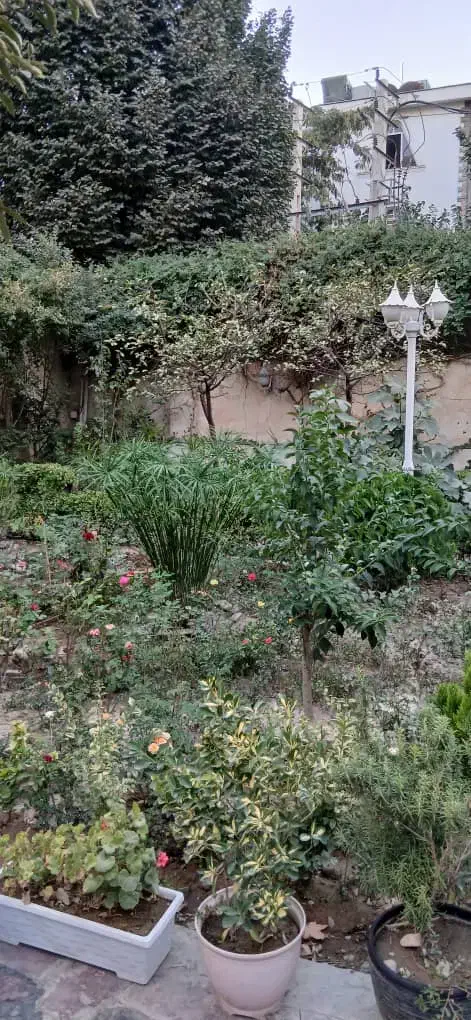 فروش زمین کوی مهر / ۶۰۰۰|فروش زمین و ملک کلنگی|کرج, کوی مهر|دیوار