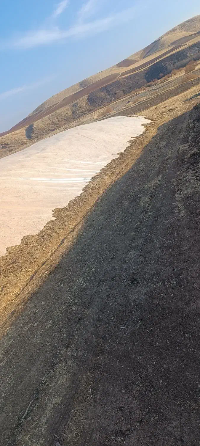 فروش سامان نخود|لوازم جانبی حیوانات|بوکان, |دیوار