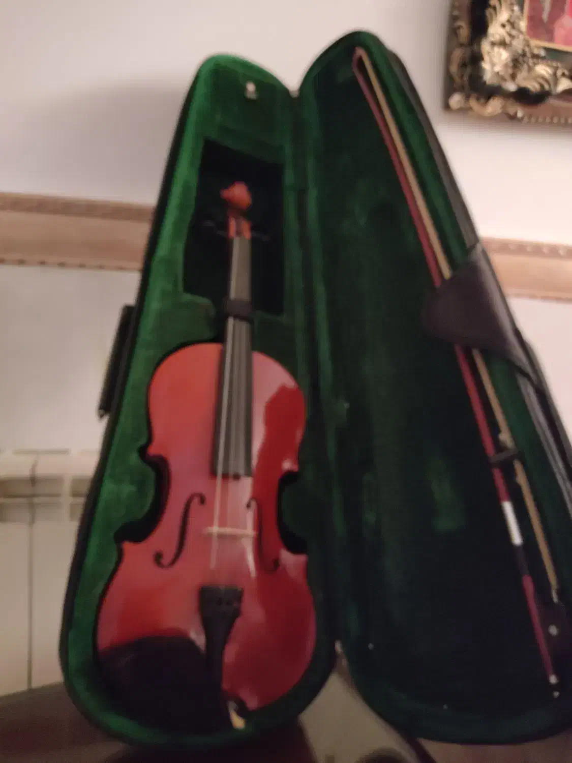 ویولون نو|ویولن|زنجان, |دیوار