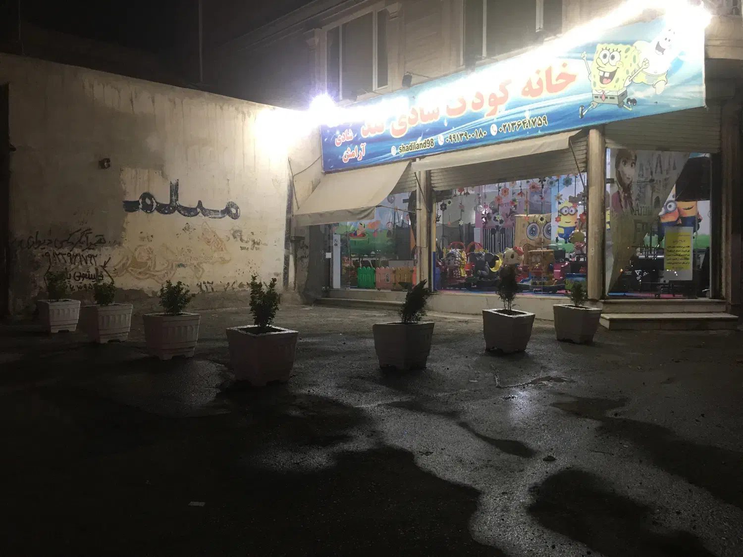 گلدان سیمانی|گل و گیاه طبیعی|پاکدشت, حصار امیر|دیوار
