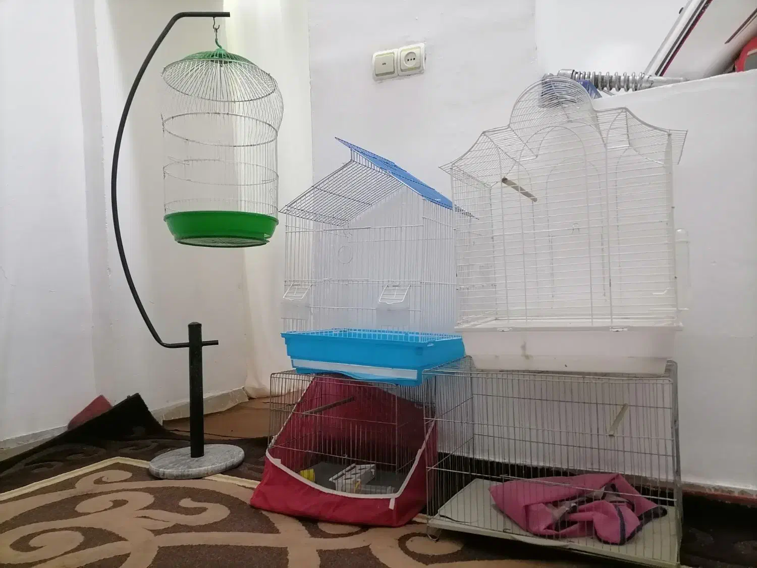 5 عدد قفس پرنده درحدنو|لوازم جانبی حیوانات|کرمان, |دیوار