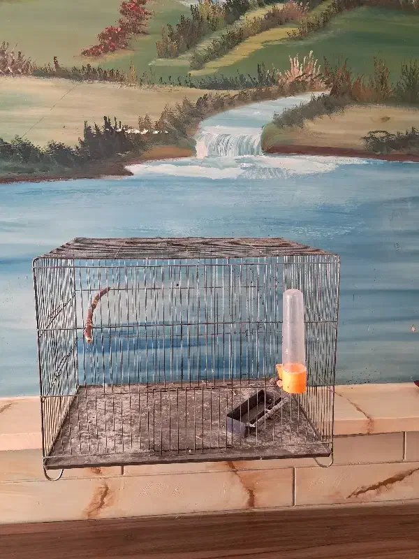 قفس پرنده|لوازم جانبی حیوانات|نظرآباد, نظرآباد|دیوار