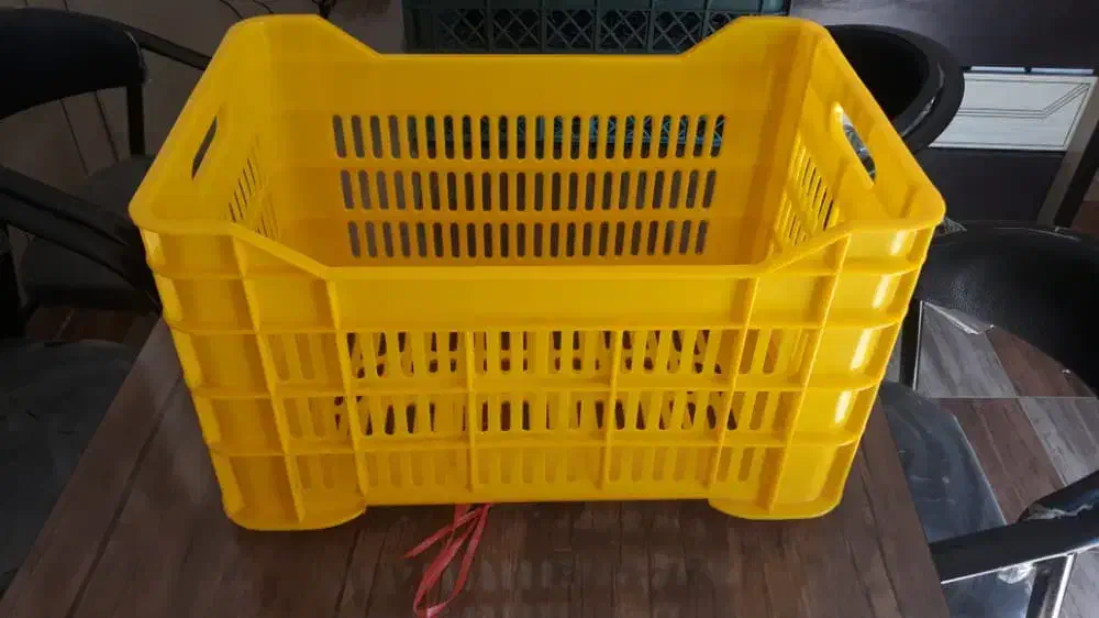 فروش عمده سبد پلاستیکی تولید کننده مستقیم|عمده‌فروشی|کرج, اتمسفر|دیوار