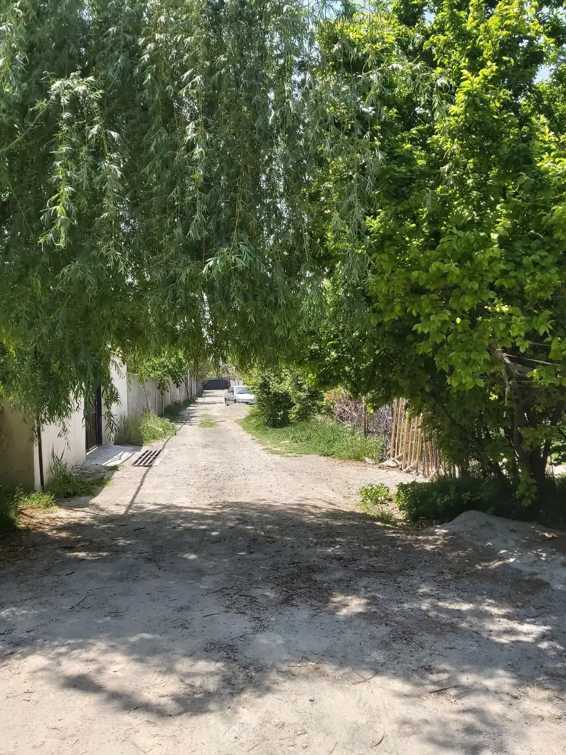 باغ ۵۰۰ متری سند دار بنا دار در مهرشهر خیابان چمن|فروش زمین و ملک کلنگی|کرج, چمن|دیوار