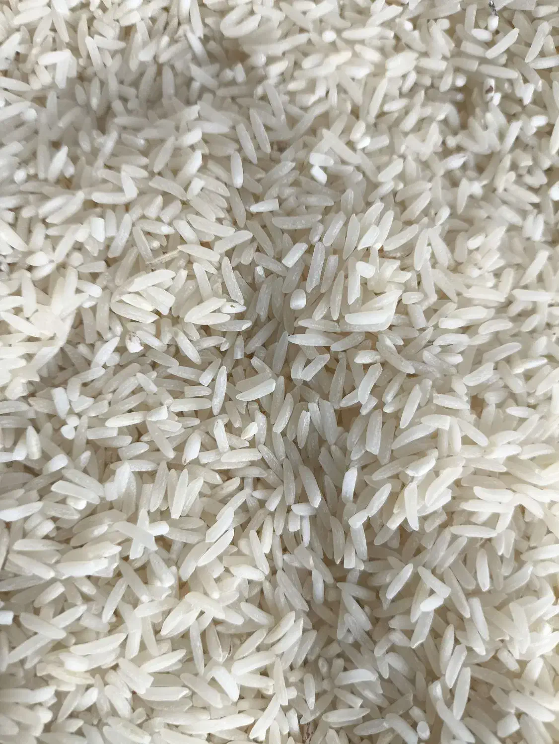 برنج فجر و دمسیاه پاییزه خوش عطر لاشه و نیمدانه|خوردنی و آشامیدنی|گنبد کاووس, |دیوار