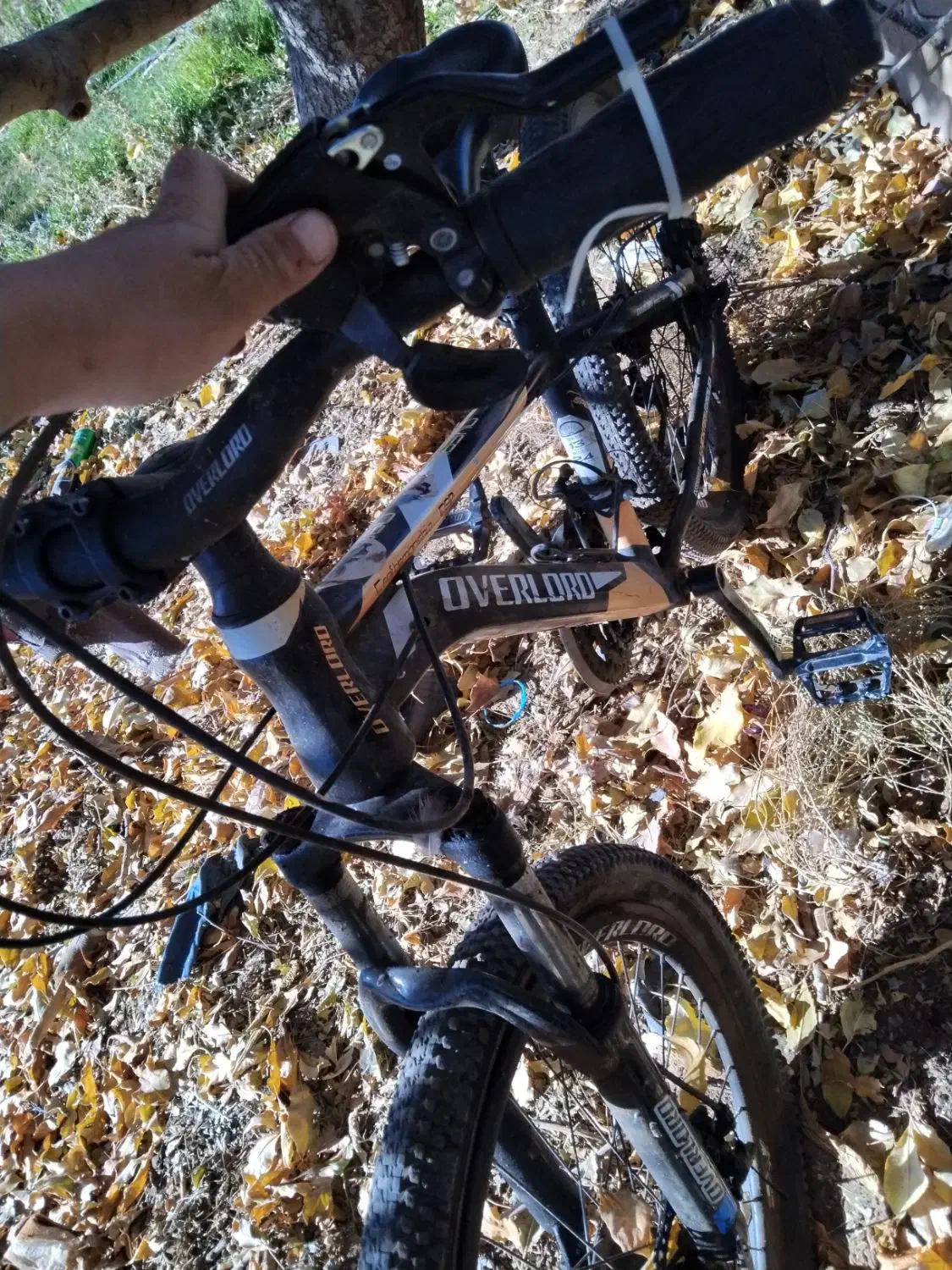 دوچرخه 24|دوچرخه، اسکیت، اسکوتر|تربت جام, شهید مدرس|دیوار