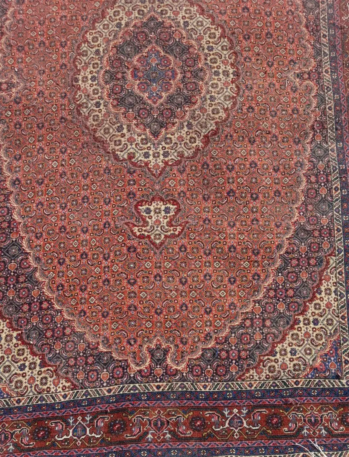 فرش دستباف وسط میراشرف دور لچک جفت ۶ متری|فرش|اردبیل, |دیوار