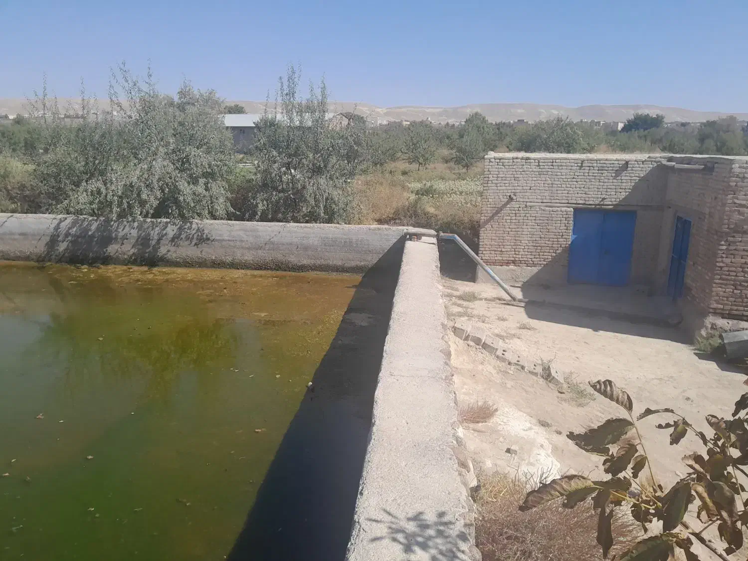 فروش زمین ویلایی|فروش خانه و ویلا|ممقان, |دیوار